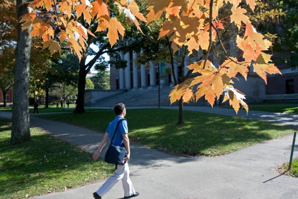 Person walking across Harvard Yard with foliage in the forefront.